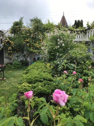 Un Paradis De Verdure En Plein Centre Ville Périgueux Exterior foto